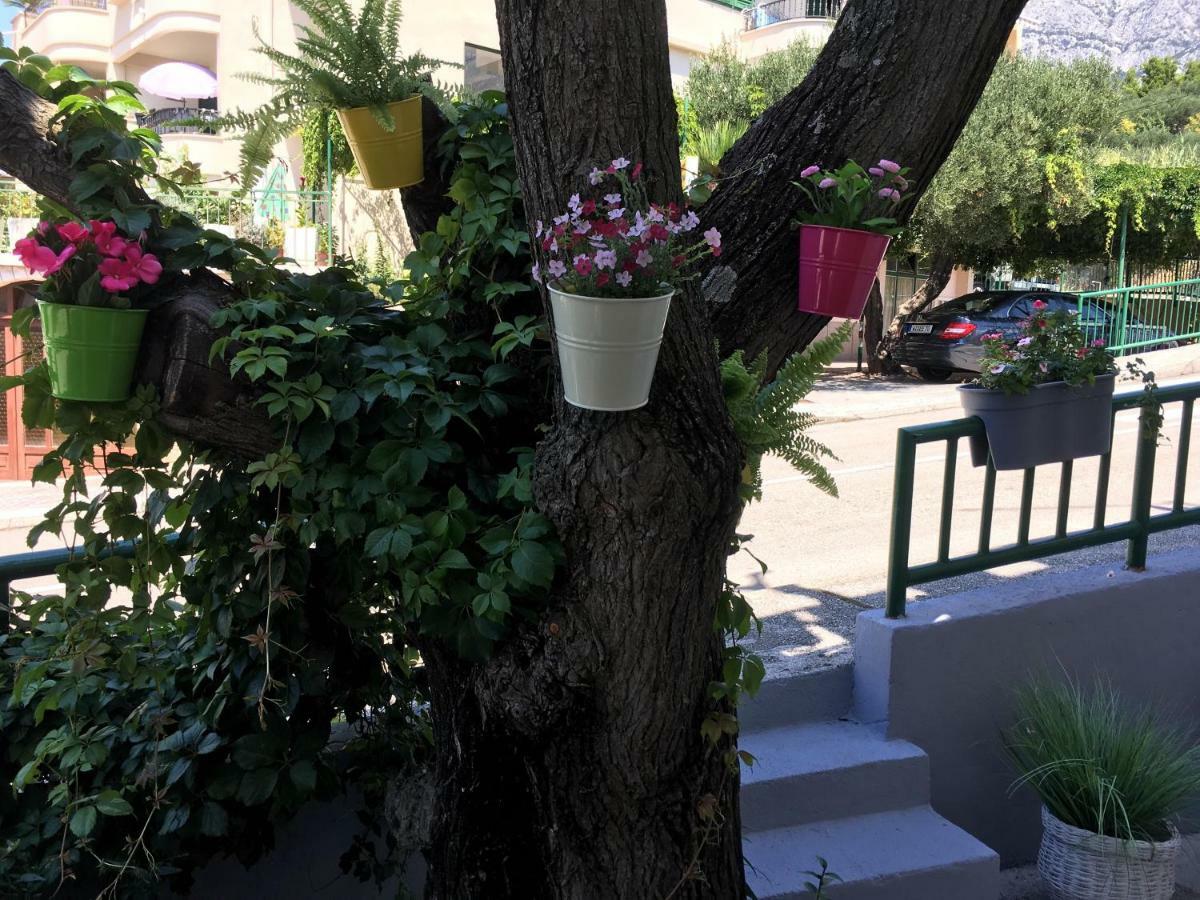 Apartmani Marko Tučepi Dış mekan fotoğraf