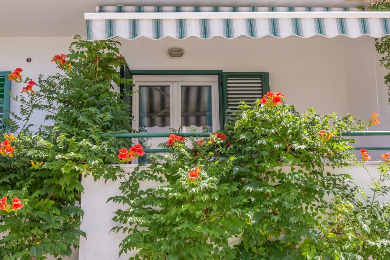 Apartmani Marko Tučepi Dış mekan fotoğraf